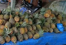 Sering Dapat Nanas Asam? ternyata Ini Rahasianya Biar Nggak Salah Pilih