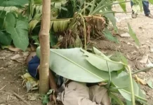 Warga Gunung Meriah Aceh Singkil Dikejutkan dengan Penemuan Sesosok Mayat Pria