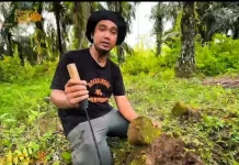Pemkab Diminta Selamatkan Nisan Kuno di Aceh Singkil