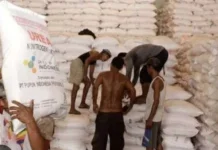 Petani di Aceh Singkil Keluhkan Sulitnya Mendapatkan Pupuk Bersubsidi