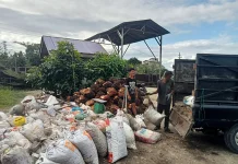 Harga Berondolan Sawit Akhir Pekan Bulan Juli Mengalami Kenaikan