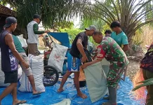 Dukung Petani, Babinsa Penanggalan Turun Langsung Bantu Giling Jagung