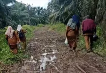 Jalan Rusak jadi Kendala Mobilitas Warga di Kuta Beringin Subulussalam