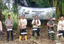 Bupati Singkil Ajak Warga Lestarikan Sagu untuk Ketahanan Pangan