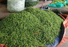 Harga Cabe Rawit di Singkil Tembus Rp70 Ribu