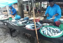 Pasar Ikan Aceh Singkil Lesu meski Harga Stabil