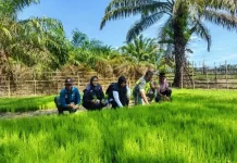 Babinsa dan Penyuluh Bantu Perkuat Ketahanan Pangan Warga di Singkil