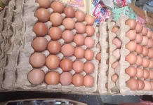 Cek Harga Telur di Aceh Singkil