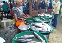 Harga Ikan di Singkil Terus Mengalami Kenaikan