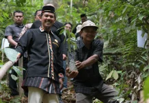 Dirjen Perhutanan Sosial Siap Turunkan Tim Verifikasi Hutan Adat di Subulussalam