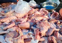 Stok Langka, Harga Ayam di Aceh Singkil Merangkak Naik
