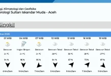 BMKG Memprediksi Cuaca di Singkil Berawan Tebal Rabu 26 Agustus 2026