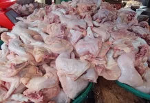 Harga Ayam di Pasar Sianjo-Anjo Naik Rp65 Ribu per Kilo