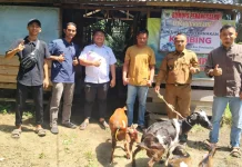 Dorong Ekonomi Desa, Pemdes Penanggalan Survei BUMDes Lebuhku Kreatif