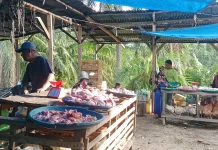 Harga Daging Ayam Broiler Bertahan Sebesar Rp60 ribu Perkilogram