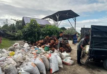 Harga Berondolan Sawit di Aceh Singkil Turun Tipis