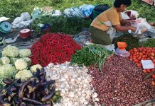 Update Harga Pangan di Aceh Singkil Sabtu 12 September 2026