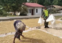 Hadir Ditengah Petani, Babinsa di Aceh Singkil Dukung Ketahanan Pangan Nasional