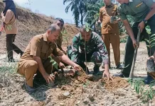 Pelajar hingga Aparat Bergandengan Tangan Hijaukan Tahura Subulussalam