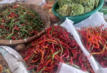 Harga Cabai di Subulussalam Melonjak Tajam, Daya Beli Warga Merosot