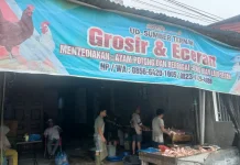 Imbas Harga Ayam Naik dan MBG, Omzet Pedagang Subulussalam Anjlok