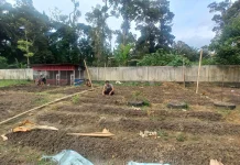 Polsek Penanggalan Olah Lahan Kosong Perkarangan untuk Ketahanan Pangan