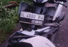 Kecelakaan di Perbatasan Aceh Singkil Akibat Pohon Tumbang, Pengendara Selamat