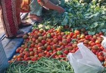 Harga Pangan di Aceh Singkil Melonjak, Cabai Merah Rp100 Ribu per Kilogram