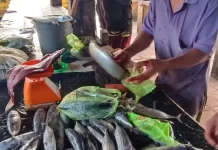 Catat! Ini Daftar Harga Ikan di Aceh Singkil