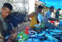 Harga Ikan di Singkil Stabil Jelang Ramadhan