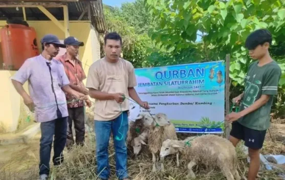 Forum Dakwah Perbatasan Salurkan 54 Hewan Kurban