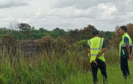 Lahan Bandara Syekh Hamzah Fansuri Singkil Terbakar