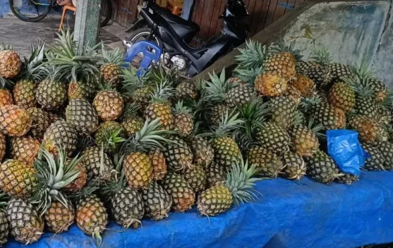 Sering Dapat Nanas Asam? ternyata Ini Rahasianya Biar Nggak Salah Pilih