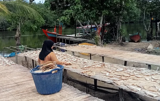 Usaha Pengolahan Ikan Asin di Singkil Raup Cuan