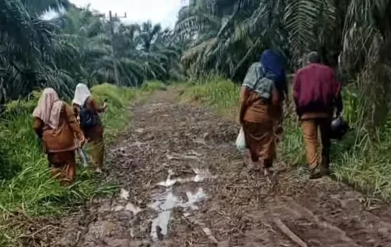 Jalan Rusak jadi Kendala Mobilitas Warga di Kuta Beringin Subulussalam