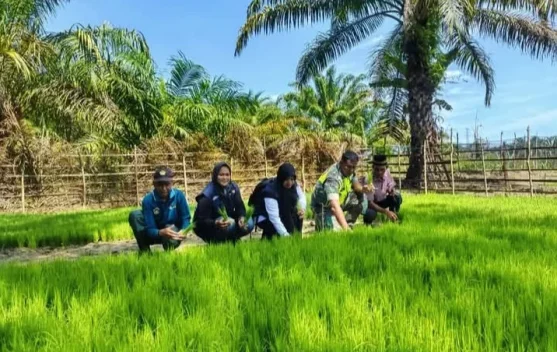 Babinsa dan Penyuluh Bantu Perkuat Ketahanan Pangan Warga di Singkil