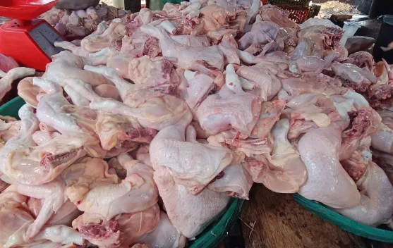 Harga Ayam di Pasar Sianjo-Anjo Naik Rp65 Ribu per Kilo