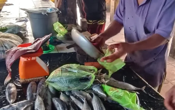 Catat! Ini Daftar Harga Ikan di Aceh Singkil