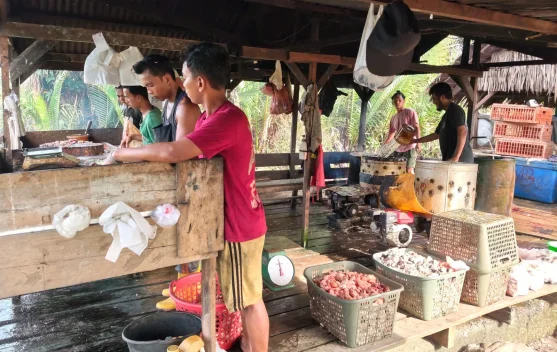 Sempat Meroket, Kini Harga Ayam Potong di Singkil Kembali Stabil