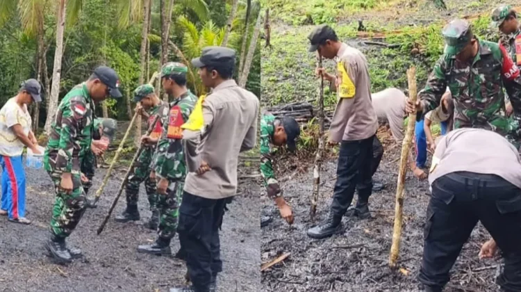TNI-Polri di Maluku Tanam Jagung Pipil di Atas Alahan 3,30 Hektare