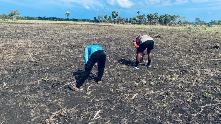 Lahan 5 Hektare Disiapkan Polsek Selaru, Perkuat Ketahan Pangan