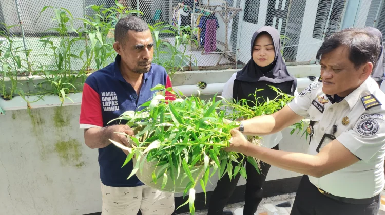 Ramadan Berkah,Lapas Wahai Optimalkan Hidroponik Demi Ketahanan Pangan