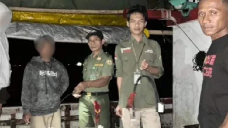 Dua Ekor Burung Nuri Diamankan Petugas BKSDA
