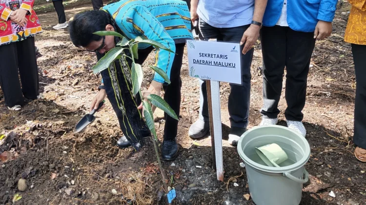 Sekda Maluku: Penanaman Pohon di Unpatti Langkah Nyata Mitigasi Perubahan Iklim