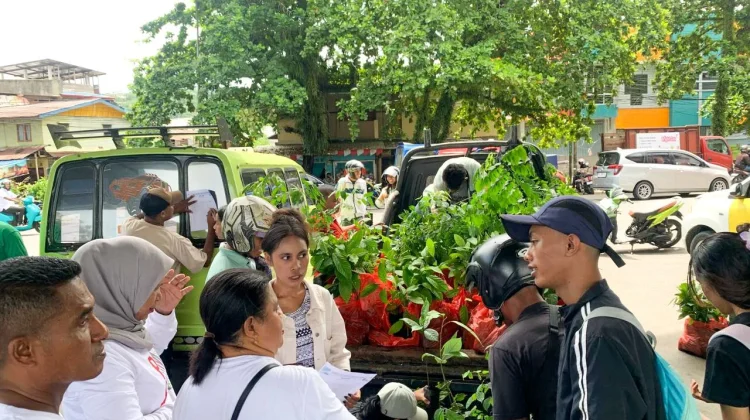 MCC Bagikan 1.350 Anakan Pohon, Dukung Iklim Maluku