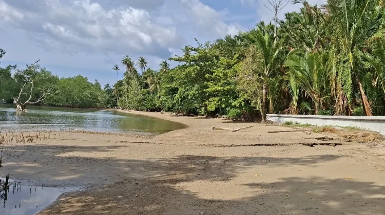 Gaet Mitra Internasional, Rutong Kembangkan Konservasi Bahari Berbasis Karbon