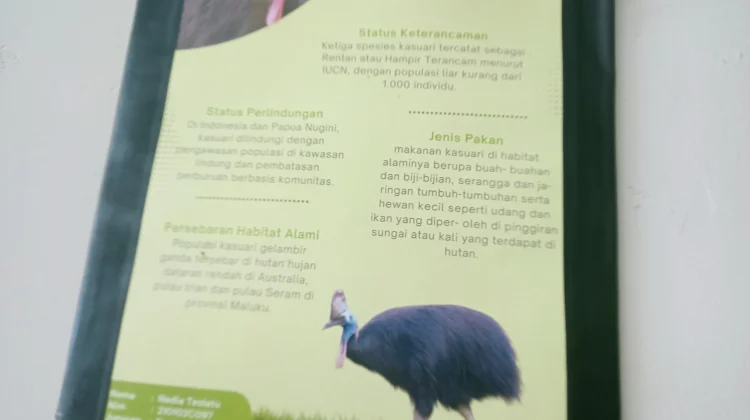 Kasuari Satwa Endemik yang Terancam dan Perlu Perlindungan