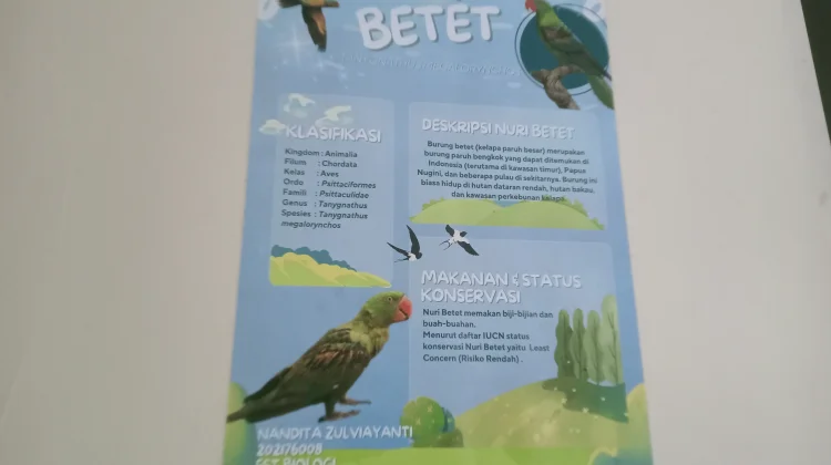 Nuri Betet Burung Paruh Bengkok Penghuni Hutan Timur