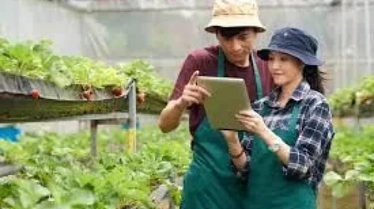 Generasi Muda Maluku Didorong Lirik Pertanian sebagai Peluang Bisnis