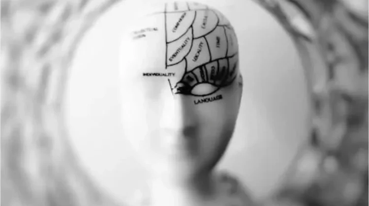 Mengenal Perilaku Umum Orang dengan IQ Rendah